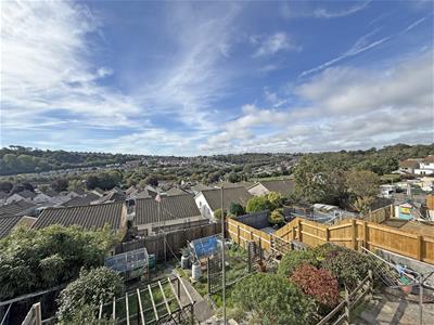 Picture 24